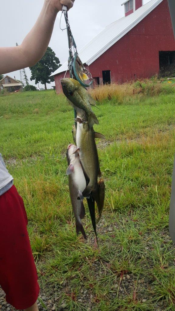 Attached picture Heath's catch July 2015.jpg